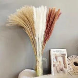 Reed Set Dried Flower Bouquet Decoration Ornament Ornament Flower