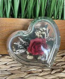 Glass Heart Freeze Dried Rose Natural Expressions Grown in USA