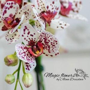 Purple spotted phalaenopsis orchid - artificial flower out of cold porcelain