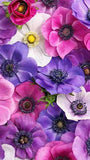 tout ce qui me touche... Flower Delivery