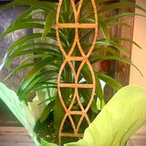 Indoor boho plant trellis-helix / dna shapes available in 12 finishes and 3 sizes;