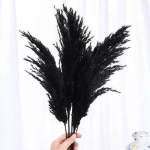 Nordic Black Wedding Bouquet Natural Dry Pampas Reed Flower Home Decor Crafts