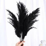 Nordic Black Wedding Bouquet Natural Dry Pampas Reed Flower Home Decor Crafts