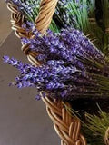 Fresh Dried Lavender Culinary  Royal Velvet Bright Purple  100 to 150 stems