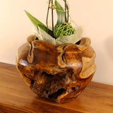 Root wood planter | Flowerpot made of solid wood | Teak burl planter | Rustic flower pot naturally shaped