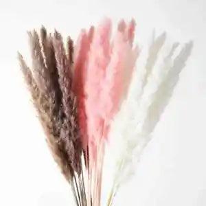 45PCS Natural Dried Pampas Grass 24 In. Reed Flower Wedding Bouquet Home Decors