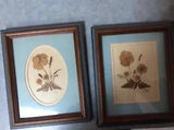 Pair of Signed Framed Vintage Dried Flowers