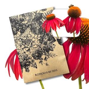 Coneflower 'Cheyenne Spirit' Echinacea Hybrid