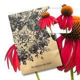 Coneflower 'Cheyenne Spirit' Echinacea Hybrid
