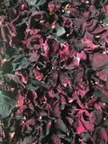 Dried Rose Petals 'Dark Red/Dark Purple' - .6 oz. bag