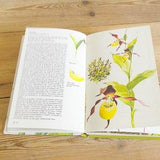 Vintage orchid book, 100+ pages flower field guide, flora illustrations, botanical Collage art, journaling supply, wildflowers plants, frame
