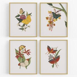 Set of Four Botanical Orchid & Butterfly Art Prints / Botanical Art / Flower Art / Butterfly Art / Nursery Art / Orchid Art / Art