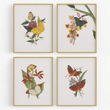 Set of Four Botanical Orchid & Butterfly Art Prints / Botanical Art / Flower Art / Butterfly Art / Nursery Art / Orchid Art / Art