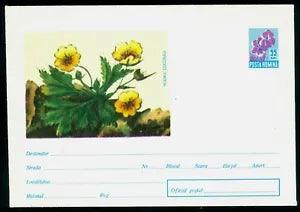1964 Mountain Flower,the creeping buttercup/Ranunculus repens,Romania,cover