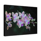 Orchid Printed on Matte Canvas, Stretched, 0.75"