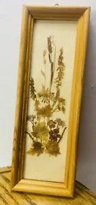 Vintage Framed Pressed Dried Flowers Wall Art Decor