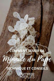 R??ussir le semis de monnaie du Pape Flower Delivery