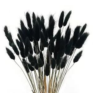 60pcs Dried Bunny Tails Flowers Black Pampas Grass Natural Lagurus Ovatus