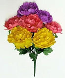 Yellow Purple Beauty Peony 20