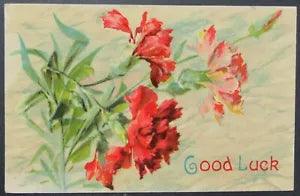 Good Luck Carnations Flowers Vintage Postcard Unposted