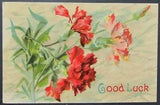 Good Luck Carnations Flowers Vintage Postcard Unposted
