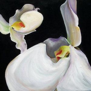 Orchid Painting, Large white Orchids with black background, White orchid canvas print, Flower painting black and white art, New