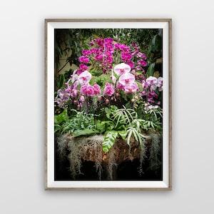 Purple Orchids Photo Print or Canvas Wall Art / Flower Print / Flower Wall Art / Floral Decor / Flower Photography / Purple and Green