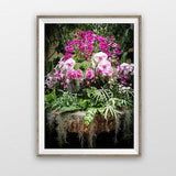 Purple Orchids Photo Print or Canvas Wall Art / Flower Print / Flower Wall Art / Floral Decor / Flower Photography / Purple and Green