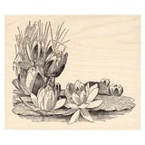 Water Lily Corner Beeswax Rubber Stamp Mounted Scenic Landscape Pond Flower
