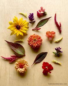 How to Press Flowers in the Microwave Flower Delivery