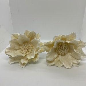Large Lily Sola Wood Flower