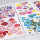 Various Real Press Dried Flowers Leaves for Epoxy Resin Jewelry Making