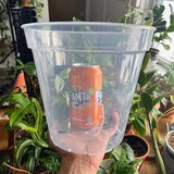 Clear Plastic Plant Pots five pack for ,Houseplants, Aroids, Hoyas, Monstera 8 Inch/20 CM,  9 Inch/22.86