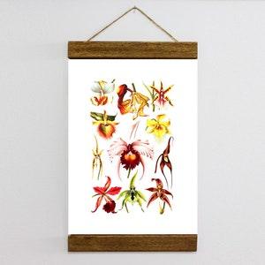 Colour ORCHID BOTANICAL Wood Framed Canvas Print Gift, Decor Home Plant Print, Vintage Art Floral Print Dorm Posters