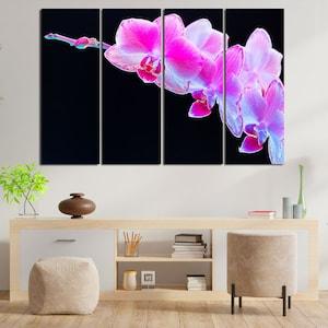 Branch of Pink Orchid on Black Background Image of Orchid on Extra Large Canvas Popular Decor with a Picture of an Orchid for White Wall