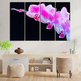 Branch of Pink Orchid on Black Background Image of Orchid on Extra Large Canvas Popular Decor with a Picture of an Orchid for White Wall