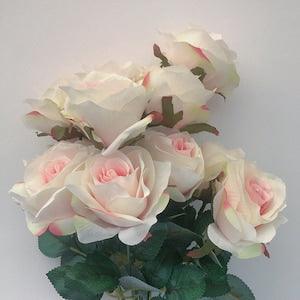AURORA OMBR? ROSE