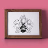 Phalaenopsis Orchid Flower Print, Original Pen Art, Botanical, Wall Decor, Home Decor, Handmade Print, Plant Art, Moth Orchid