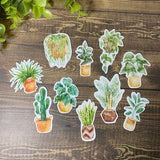 house plant stickers / watercolour plants / plant stickers / monstera sticker / cactus sticker / waterproof sticker / laptop sticker