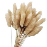 50Pcs Natural  Color Dried Flowers Real Flower Bouquet for Home Wedding3029