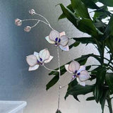Stained glass Orchid flower ???Pearl White iridescent with veins???, Suncatcher 3D plant, Wedding Christmas Gift, Outdoor and gardening decor