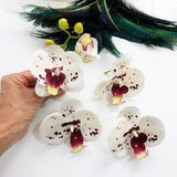 5 Artificial Orchids with short stem, Real Touch Fake Orchid heads for Millinery and Hair accessories