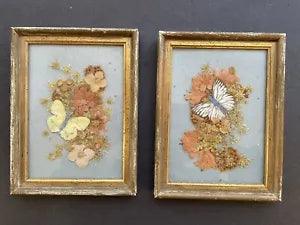 pair dried flowers w/butterfly pictures 8" x 6" framed blue background vintage