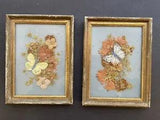 pair dried flowers w/butterfly pictures 8" x 6" framed blue background vintage