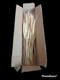 June Fox Dried Wheat Stalks 100 Stems Wheat Sheaves for Decorating Wedding Ta...