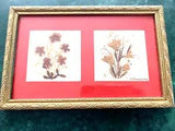 Gorgeous pressed flowers art that is framed and signed 8.75" x 5.75"