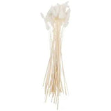 Decorative Dried Flowers Bunny Tail Grass Natural Decoration Fox Rabbit