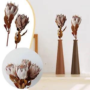 Vintage Dried South African King Flower Dried King  Flowers  19.69inch
