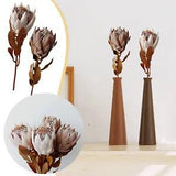 Vintage Dried South African King Flower Dried King  Flowers  19.69inch