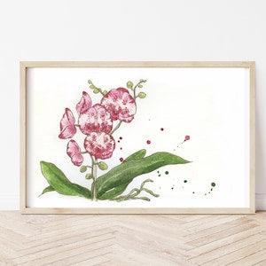 Print watercolor orchid flowers, pink flowers, illustrations, paintings, wall decorations, watercolors